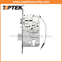 އިލެކްޓްރިފައިޑް މޯރޓައިސް